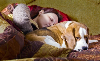 dangers of sleeping with dogs